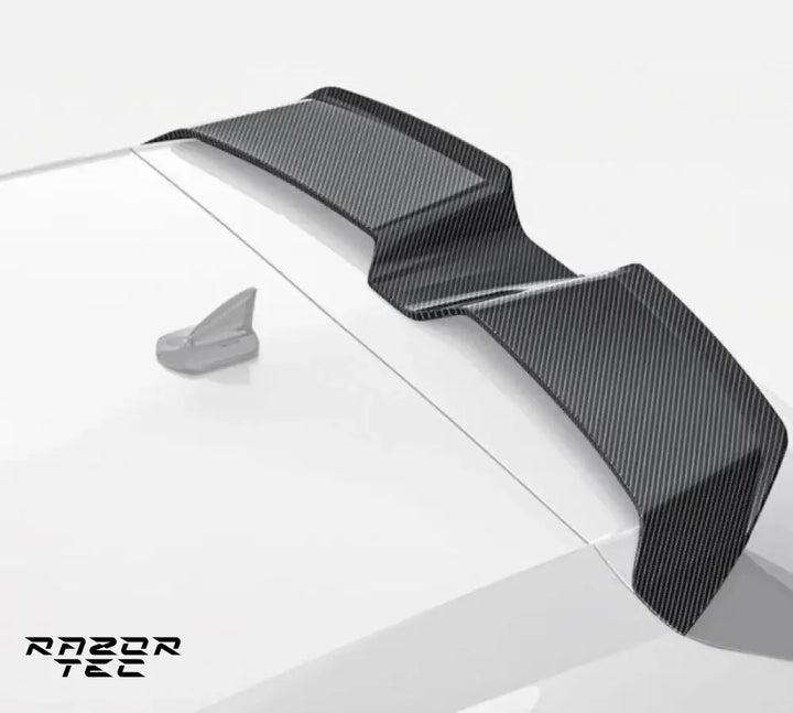 AUDI RS3 8Y CARBON FIBER KIT