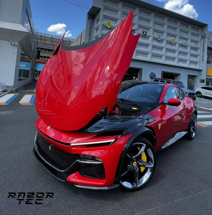 FERRARI PUROSANGUE OEM STYLE CARBON FIBER BODY KIT