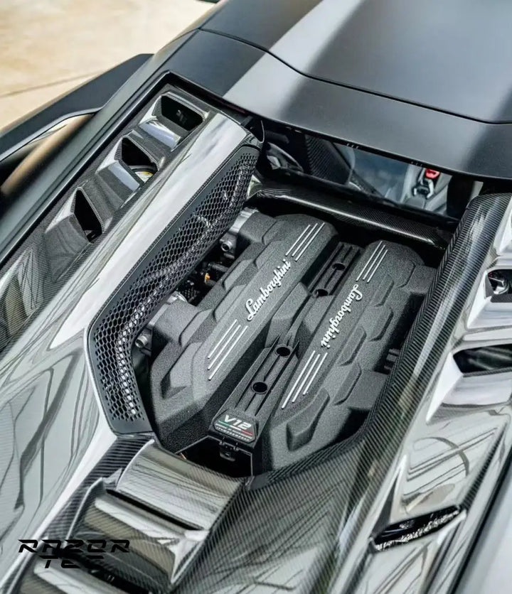 LAMBORGHINI REVUELTO OEM CARBON PARTS