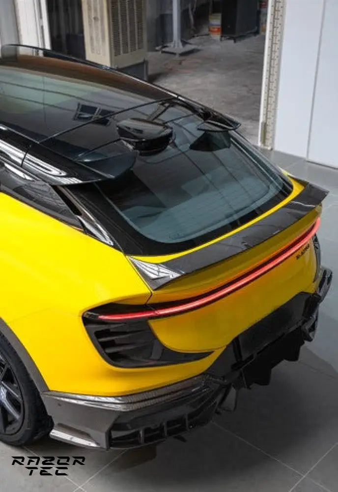 LOTUS ELETRE CARBON BODY KIT