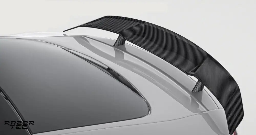 MERCEDES BENZ AMG GT (C190) CARBON FIBER PARTS