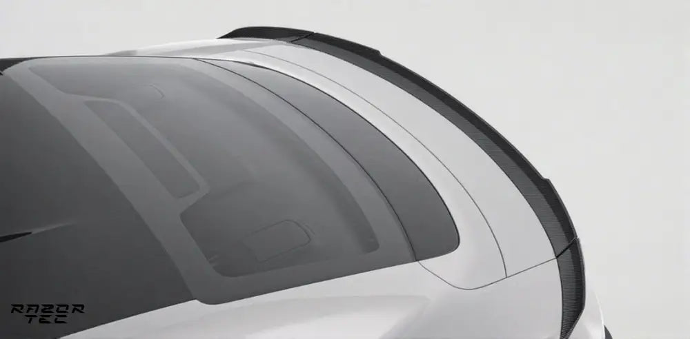 PORSCHE TAYCAN CARBON KIT 2019-2024