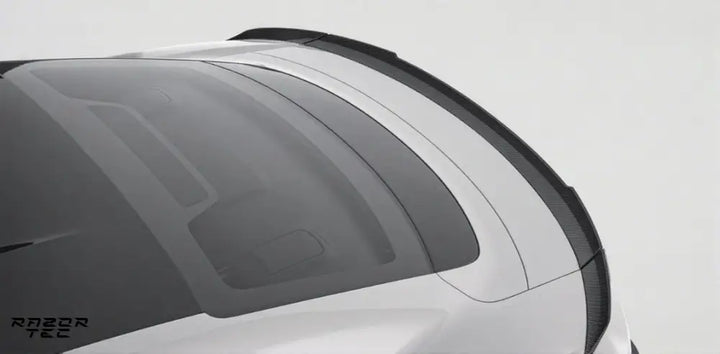 PORSCHE TAYCAN CARBON KIT 2019-2024