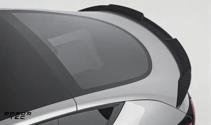 TESLA MODEL Y CARBON FIBER KIT